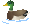 duck by h swilliams-d60v72p
