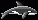 orcawhale