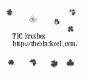 TBC-PSPBrushes-40