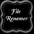 File Renamer