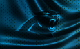 panthers-super-005
