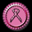 breastcancerbullet24