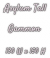 Asylum Game Head Gammon - No Lap